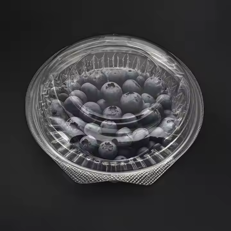 Blueberry Clamshell Packaging