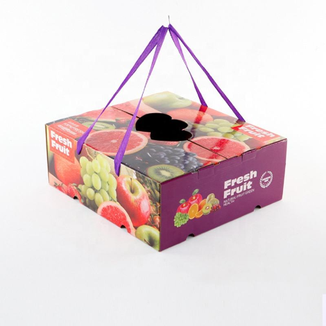 Fruit Corn Packaging​ 
