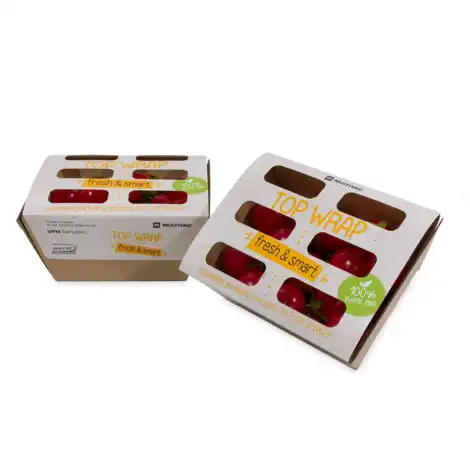 Fruit Salad Packaging 
