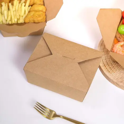 Kraft Brown Take Out Boxes 