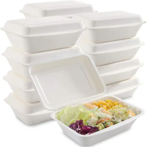 Disposable Food Container 