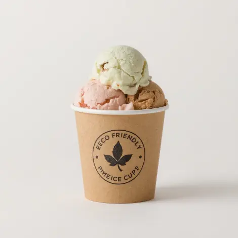 Disposable Ice Cream Cups 