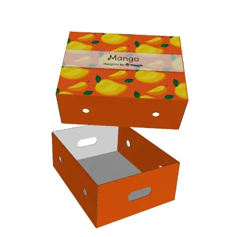 Rigid Fruit Boxes